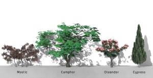 Alberi 2D-3D - Volume 08